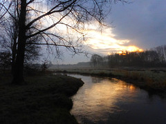 26 Februari 2016