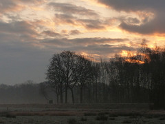 26 Februari 2016