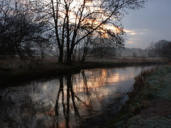 26 Februari 2016