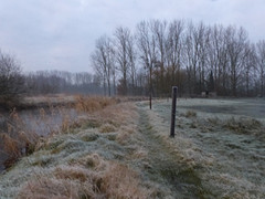 26 Februari 2016