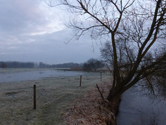 26 Februari 2016