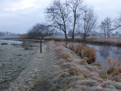 26 Februari 2016