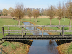 28 Februari 2016