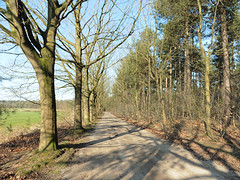29 Februari 2016