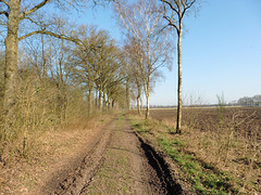 29 Februari 2016