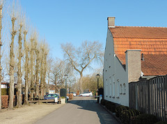 29 Februari 2016