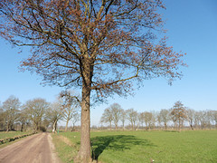 29 Februari 2016