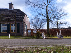 7 Maart 2016