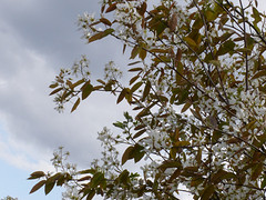 15 April 2016