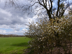 15 April 2016