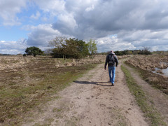 17 April 2016