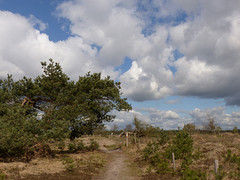 17 April 2016