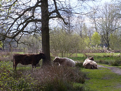 17 April 2016