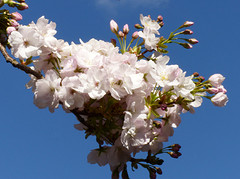 18 April 2016