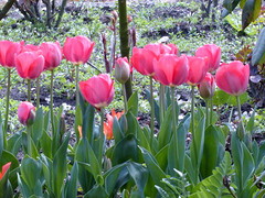 18 April 2016