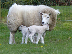 18 April 2016
