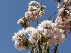 19 April 2016