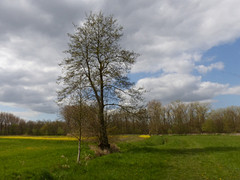 19 April 2016
