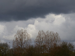 23 April 2016