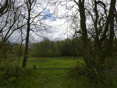 23 April 2016