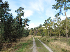 24 April 2016