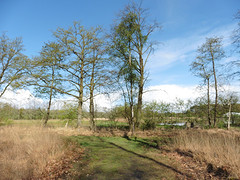 24 April 2016