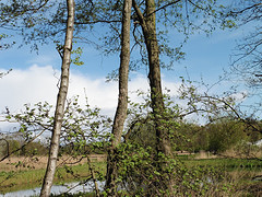 24 April 2016
