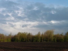 26 April 2016