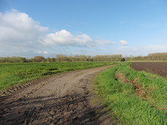 26 April 2016