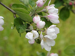 27 April 2016
