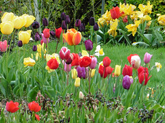 27 April 2016
