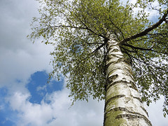 27 April 2016