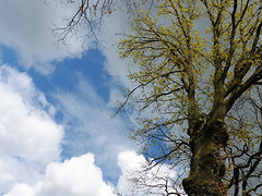 27 April 2016