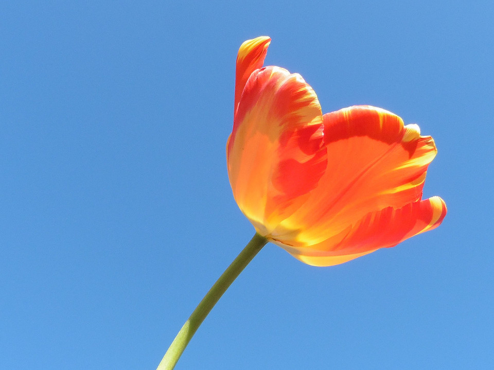 28 April 2016