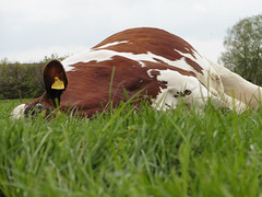29 April 2016
