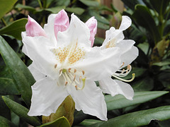 30 April 2016