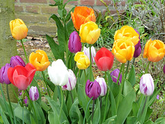 30 April 2016