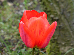 30 April 2016