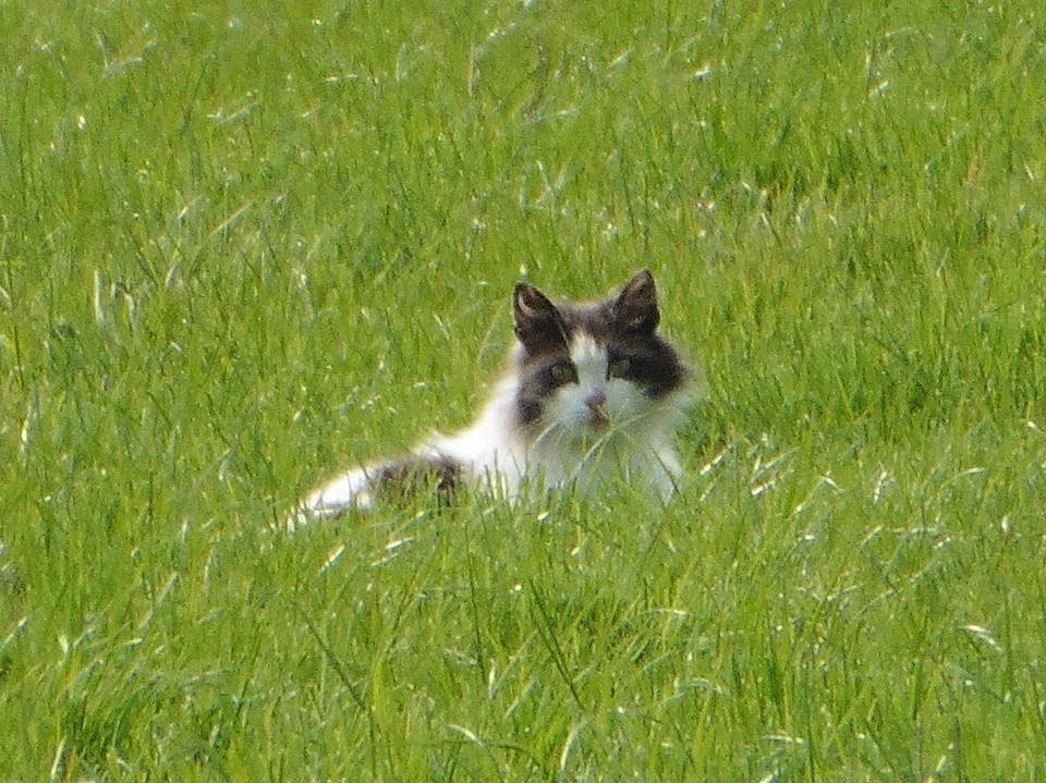 02 Mei 2016