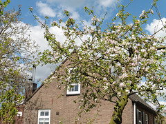 03 Mei 2016