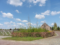 04 Mei 2016