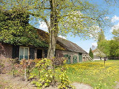 04 Mei 2016