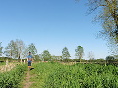 08 Mei 2016