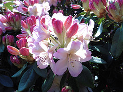 12 Mei 2016