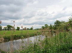16 Mei 2016