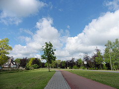 19 Mei 2016