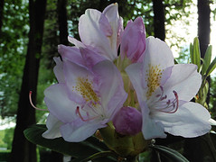 20 Mei 2016