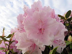 20 Mei 2016