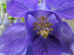 24 Mei 2016