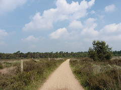 26 Mei 2016